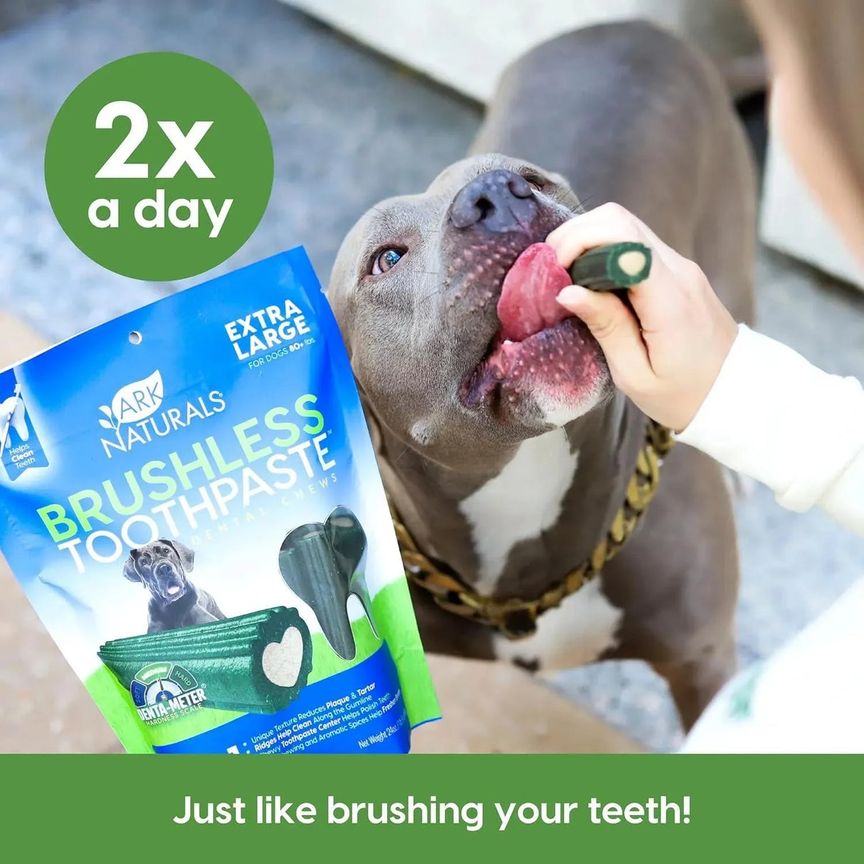 ARK NATURALS - Ark Naturals Brushless Toothpaste Dog Dental Chews for Extra Large Breeds 680Gr. - The Red Vitamin MX - Cuidado Dental Para Perros - {{ shop.shopifyCountryName }}