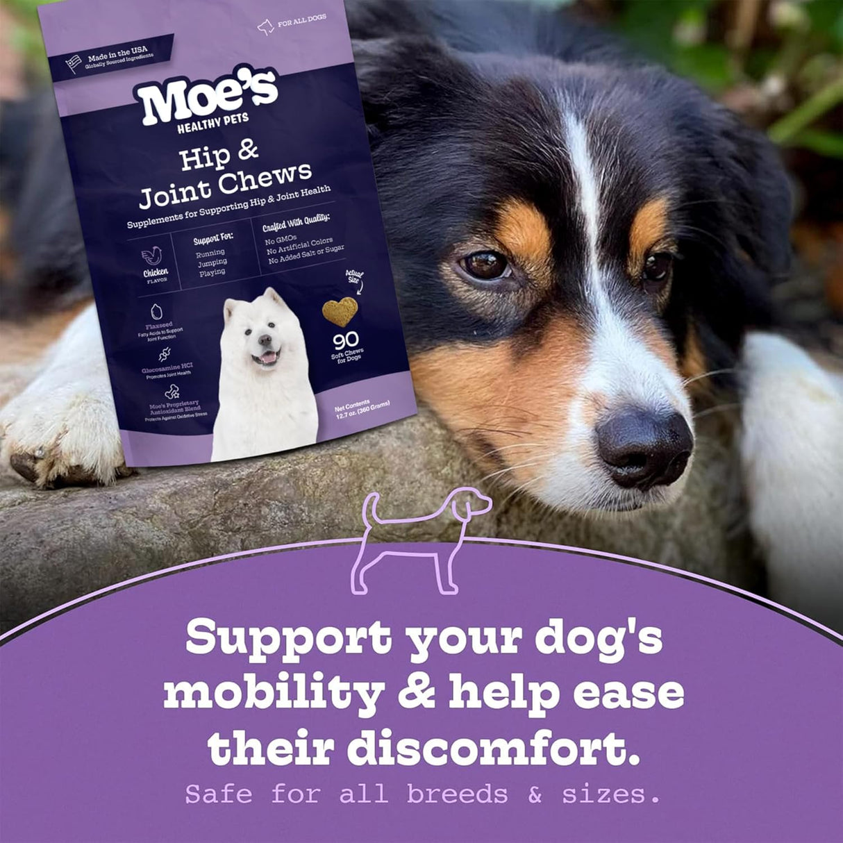 Moe’s Dog Joint Supplement 90 Masticables