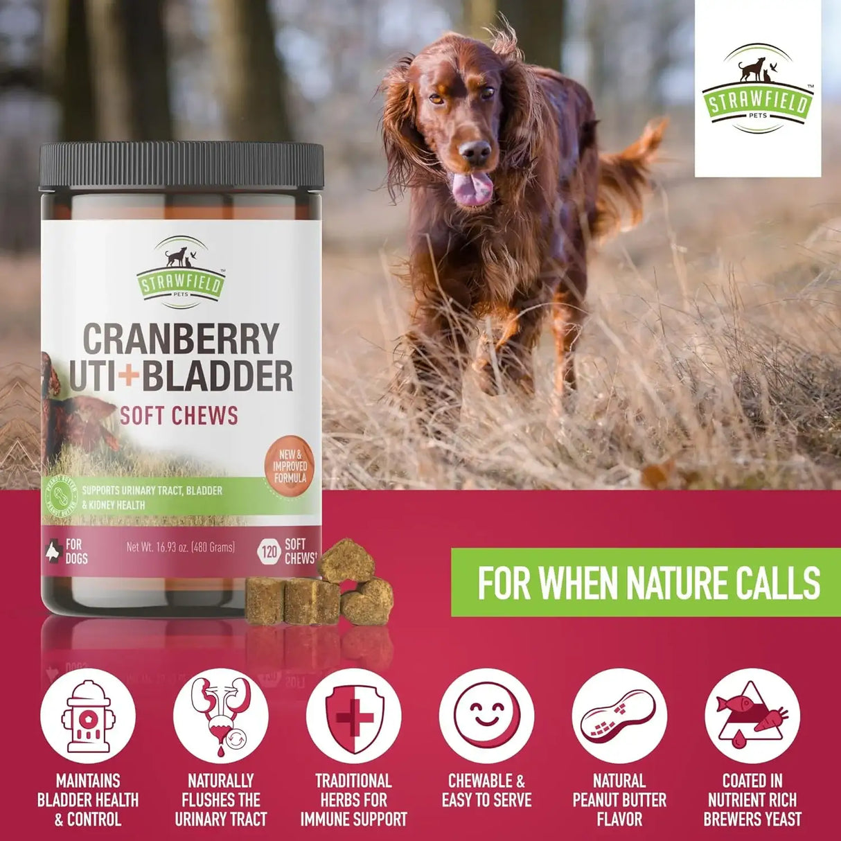 STRAWFIELD PETS - Strawfield Pets Cranberry UTI Treatment for Dogs Peanut Butter Flavor 120 Masticables - The Red Vitamin MX - Salud De Tracto Urinario Para Perros - {{ shop.shopifyCountryName }}