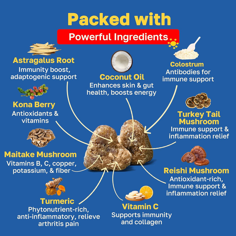 Happy Paws Immunity Daily Wellness Support for Dogs 100 Masticables