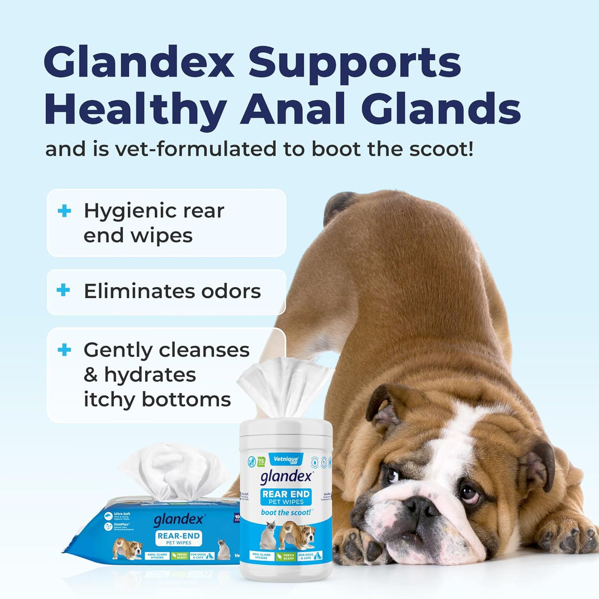 Vetnique Labs Glandex Dog Wipes for Pets 100 Toallitas