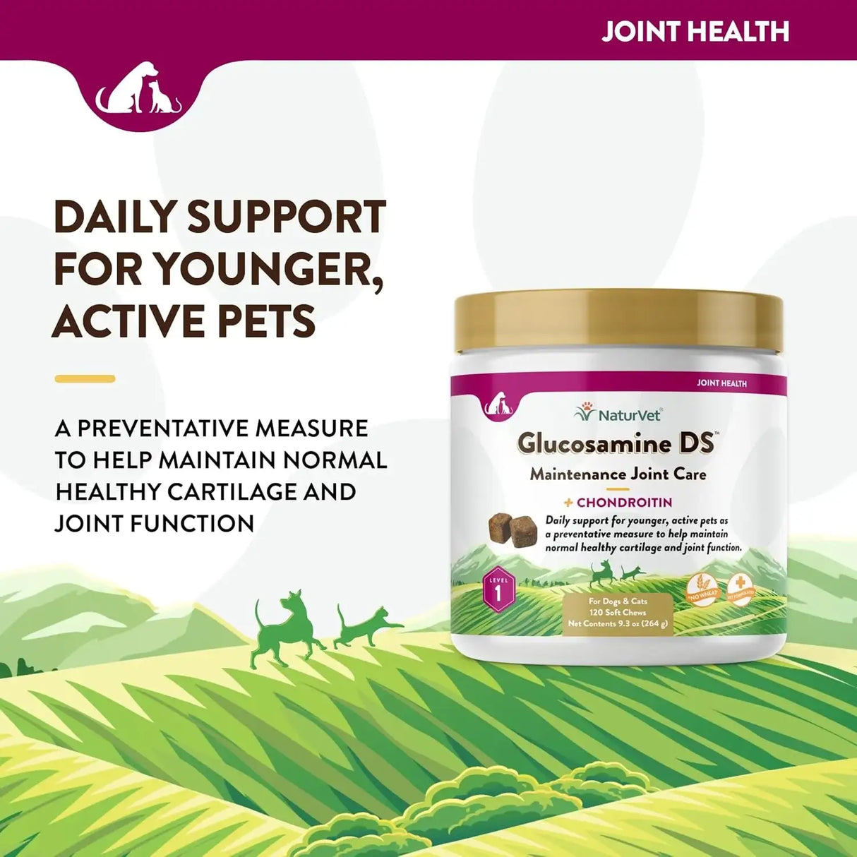 NATURVET - NaturVet Glucosamine DS Level 1 Maintenance 120 Masticables - The Red Vitamin MX - Cuidado De Cadera Y Articulaciones Para Perros - {{ shop.shopifyCountryName }}