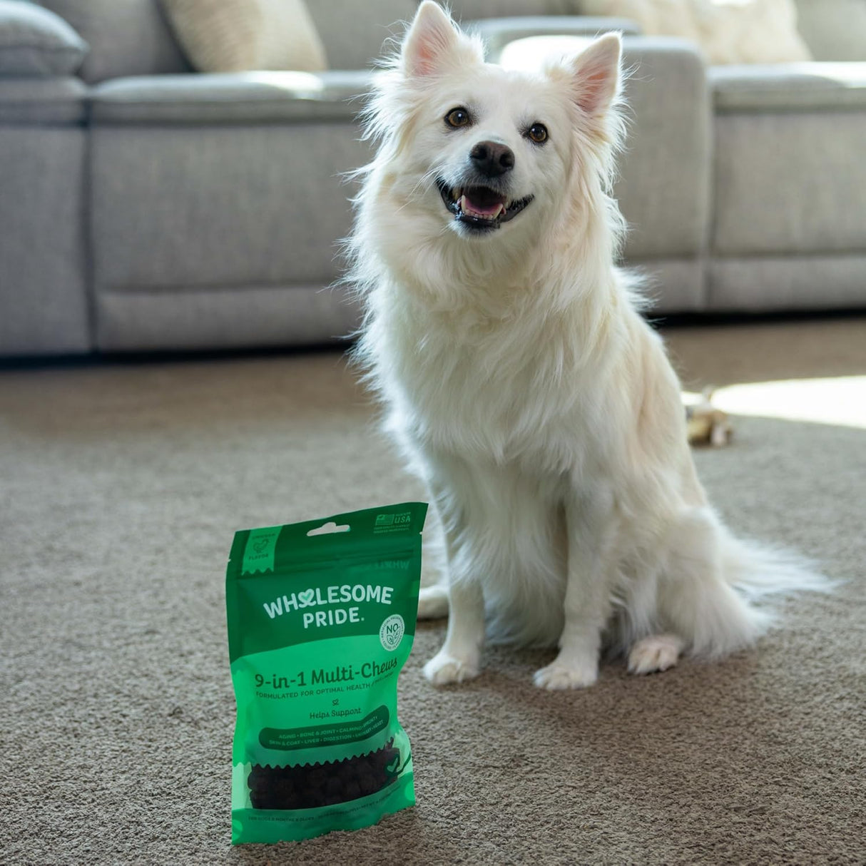 WHOLESOME PRIDE - Wholesome Pride 9-in-1 Dog Multifunctional Soft Chews 90 Masticables - The Red Vitamin MX - Suplementos Herbales Para Perros - {{ shop.shopifyCountryName }}