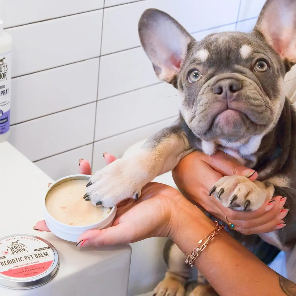 SKOUT'S HONOR - SKOUT'S HONOR Prebiotic Pet Balm 2 Oz. - The Red Vitamin MX - Remedios Para La Picazón De Perros - {{ shop.shopifyCountryName }}