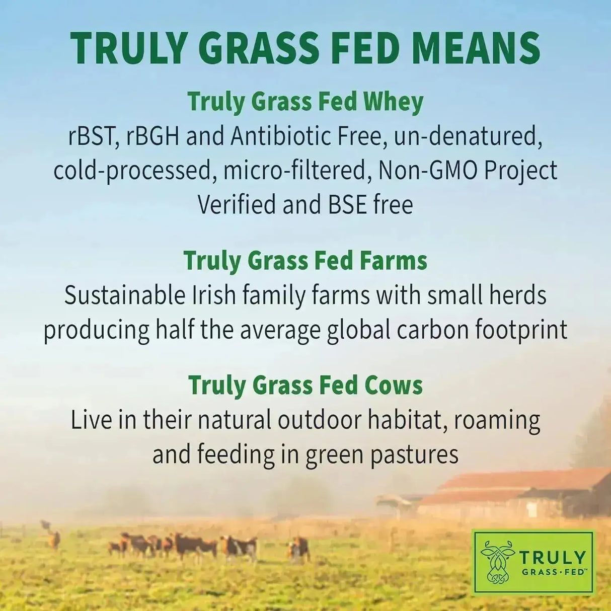 GARDEN OF LIFE - Garden of Life SPORT Whey Protein Grass Fed Whey Protein Powder Vanilla 660Gr. - The Red Vitamin MX - Suplementos Alimenticios - {{ shop.shopifyCountryName }}