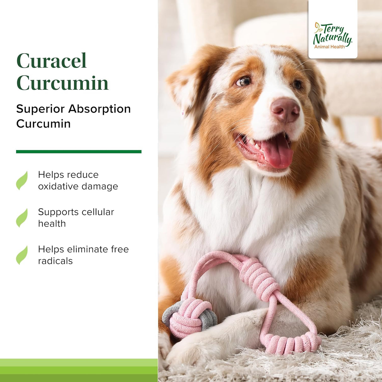 Terry Naturally Curacel Curcumin Health Supplement for Dogs 60 Capsulas Blandas
