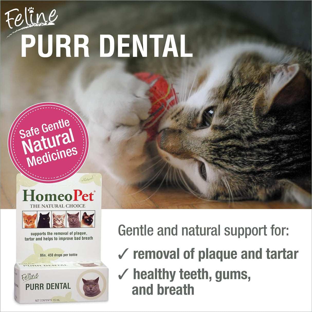 HomeoPet Feline Purr Dental Safe and Natural Tooth and Dental Care for Cats 15Ml.