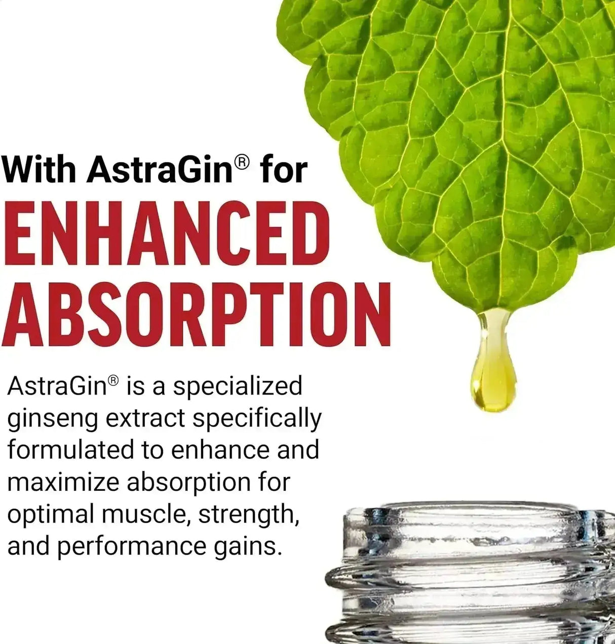 FORCE FACTOR - Force Factor Creatine HMB Powder Unflavored 30 Servicios 250Gr. - The Red Vitamin MX - Suplementos Alimenticios - {{ shop.shopifyCountryName }}