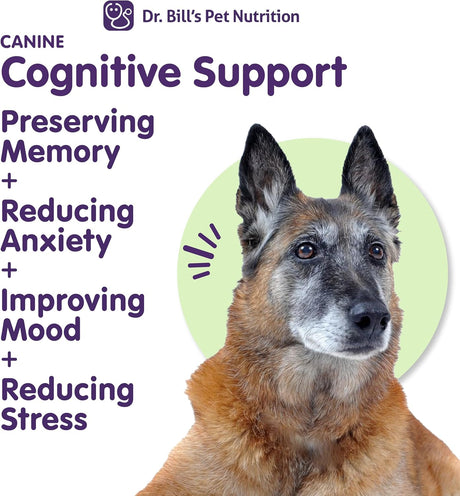 DR. BILL'S - Dr. Bill’s Canine Cognitive Support 180Gr. - The Red Vitamin MX - Suplementos Herbales Para Perros - {{ shop.shopifyCountryName }}