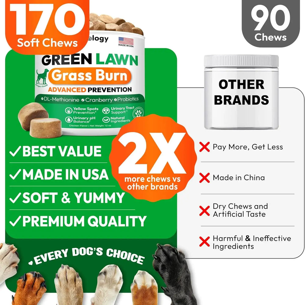 PETSOLOGY - Petsology Dog Urine Neutralizer for Lawn 170 Masticables - The Red Vitamin MX - Salud De Tracto Urinario Para Perros - {{ shop.shopifyCountryName }}