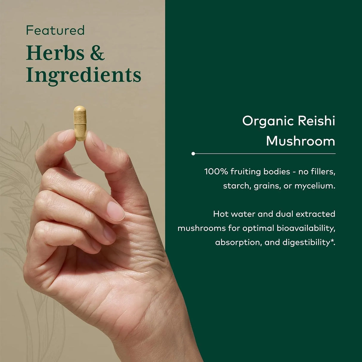 GAIA HERBS - Gaia Herbs Pro Reishi Mushroom 60 Capsulas - The Red Vitamin MX - Suplementos Alimenticios - {{ shop.shopifyCountryName }}