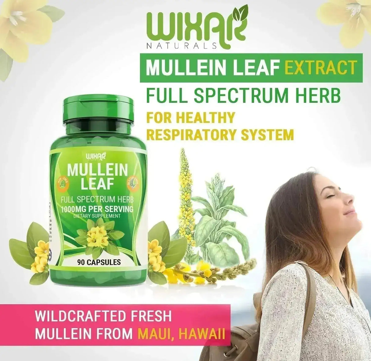 WIXAR NATURALS - WIXAR NATURALS Mullein Leaf 1000Mg. 90 Capsulas - The Red Vitamin MX - Suplementos Alimenticios - {{ shop.shopifyCountryName }}