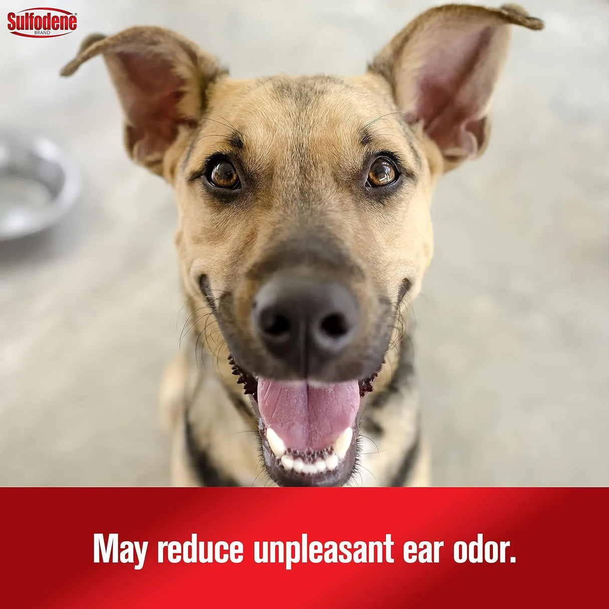 SULFODENE - Sulfodene Ear Cleaner for Dogs & Cats 4 Fl.Oz. - The Red Vitamin MX - Cuidado Del Oído De Perros - {{ shop.shopifyCountryName }}