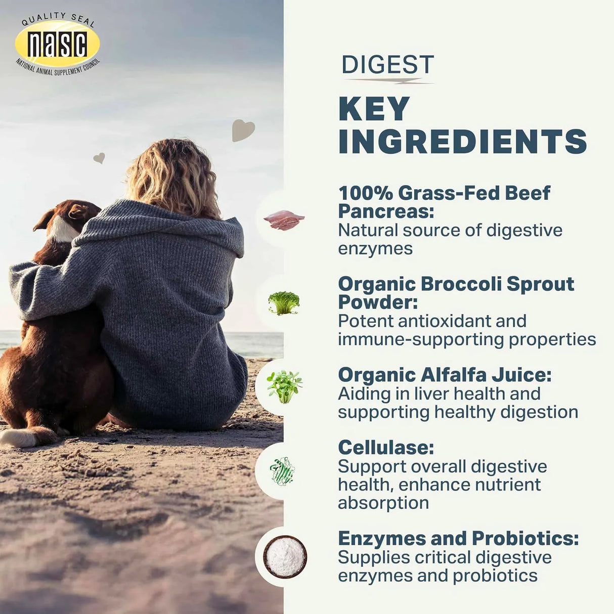 FOUR LEAF ROVER - FOUR LEAF ROVER Digest Dog Digestive Support with Digestive Enzymes and Probiotics 34.5Gr. - The Red Vitamin MX - Probióticos Para Perros - {{ shop.shopifyCountryName }}