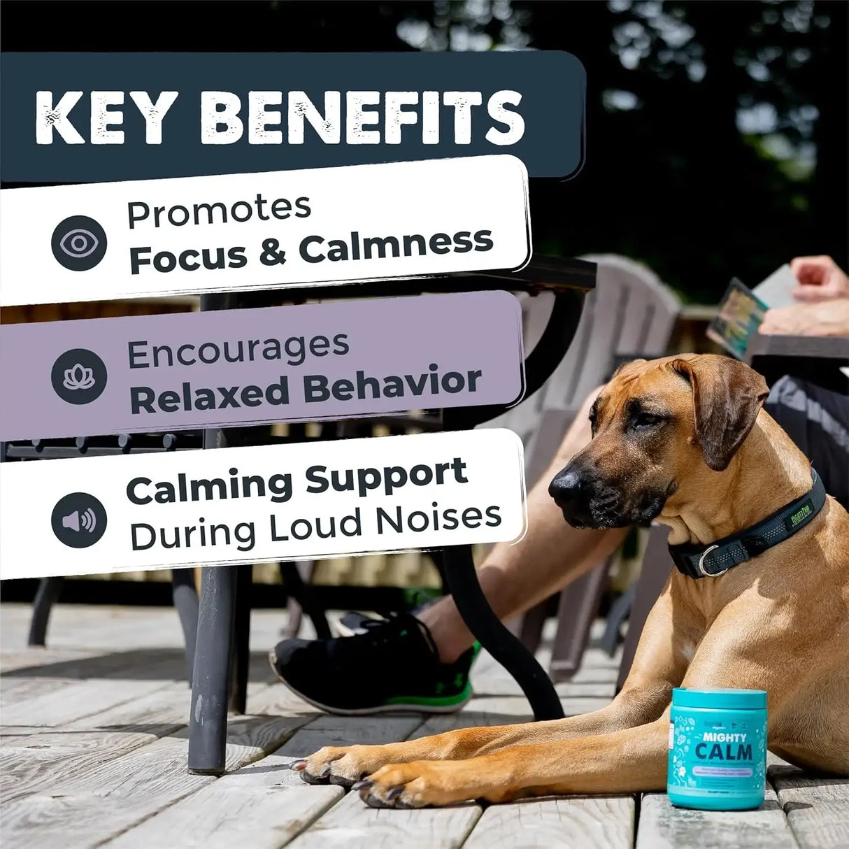 MIGHTY PAW - Mighty Paw Calming Chews for Dogs with Melatonin 120 Masticables 2 Pack - The Red Vitamin MX - Relajantes Para Perros - {{ shop.shopifyCountryName }}