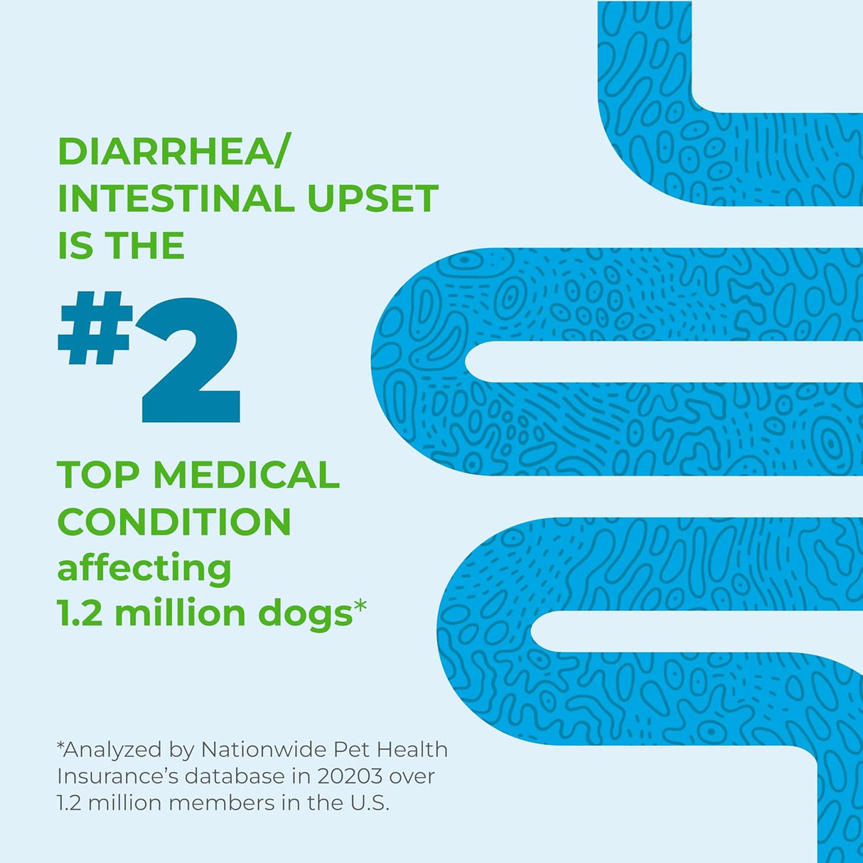 Vetnique Glandex Daily Probiotics for Dogs 60 Masticables