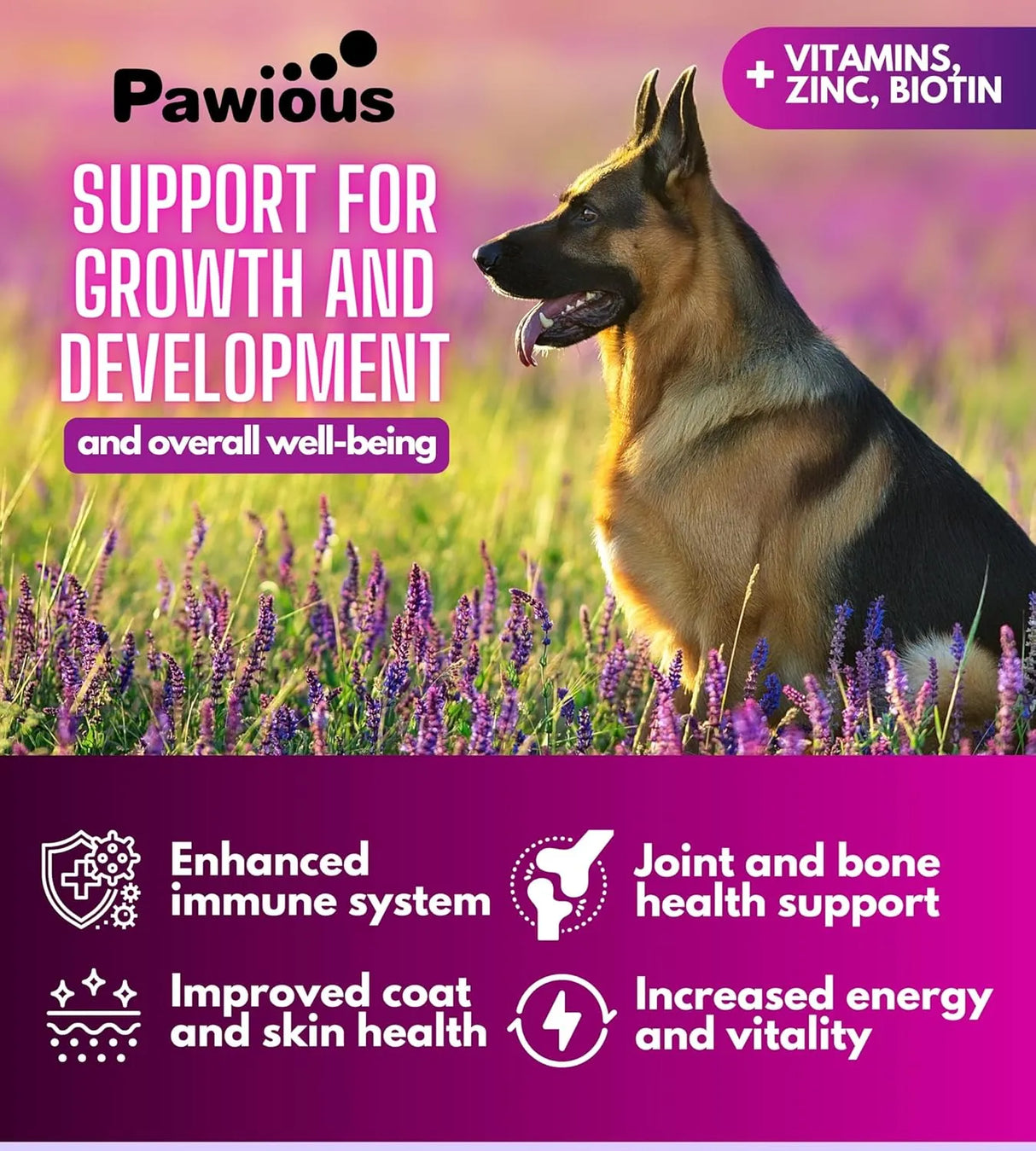 PAWIOUS - Pawious Dog 16 in 1 Multivitamin Chewable with Glucosamine 120 Masticables - The Red Vitamin MX - Multivitamínicos Para Perros - {{ shop.shopifyCountryName }}