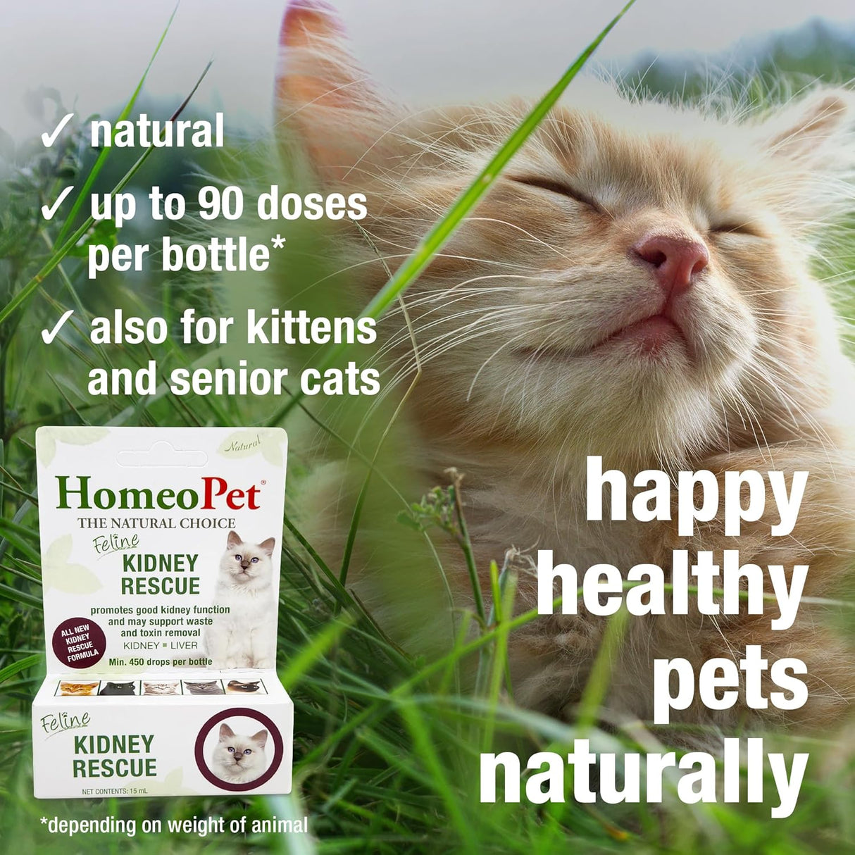HomeoPet Feline Kidney Rescue 15Ml.