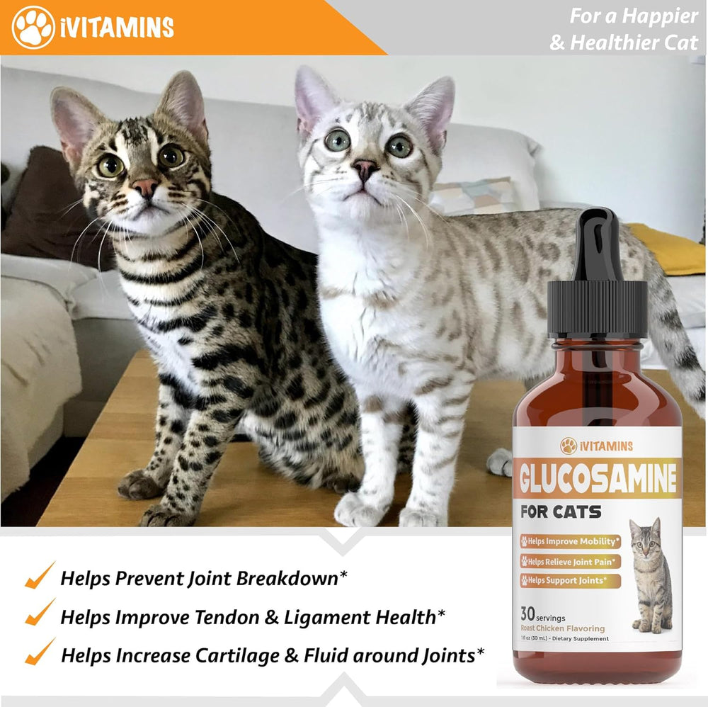 iVitamins Glucosamine for Cats Chicken Flavor 1 Fl.Oz.