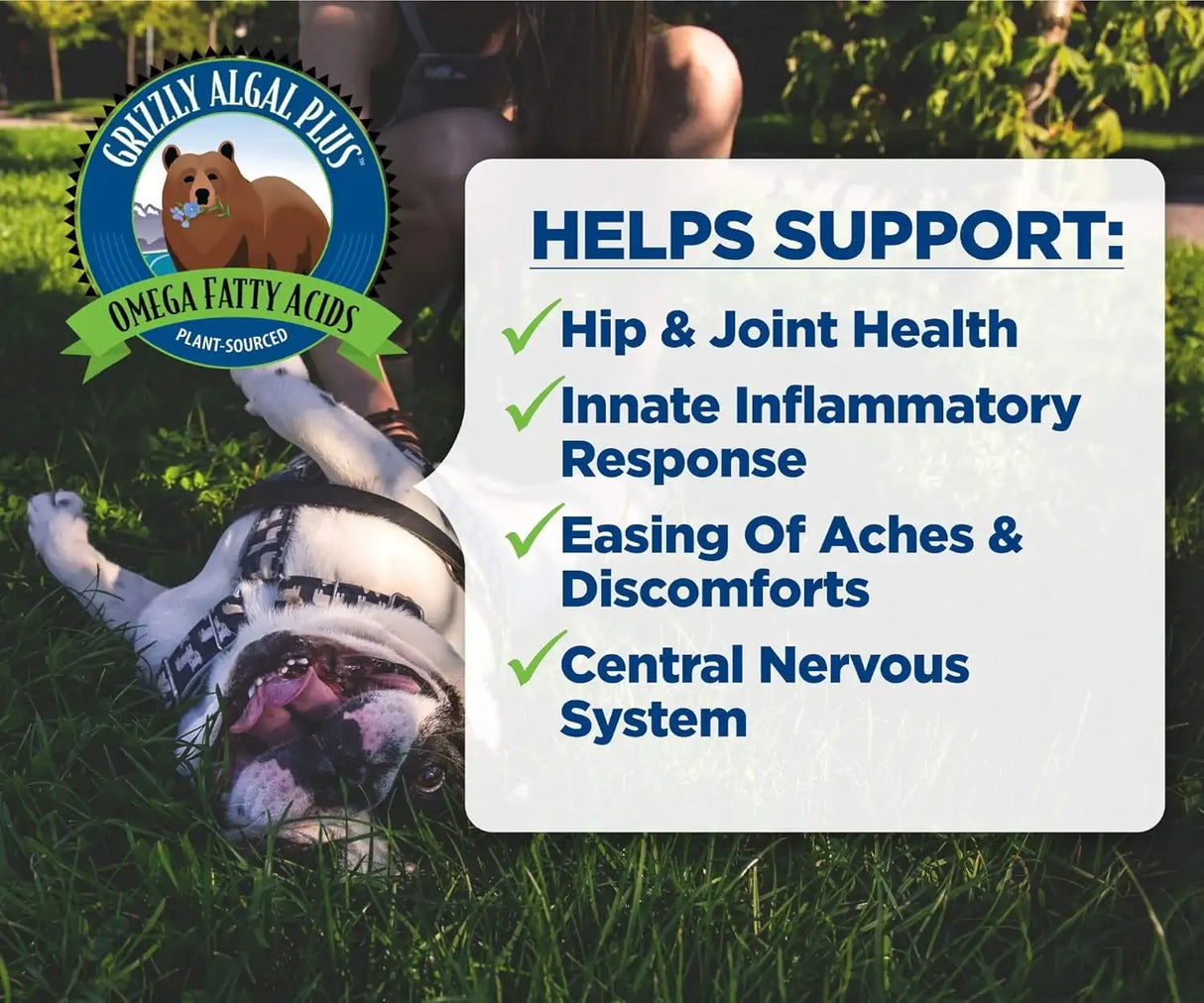 GRIZZLY PET - Grizzly Pet Products Algal Plus Omega 3-6-9 for Dogs and Cats 16 Fl.Oz. - The Red Vitamin MX - Aceite De Pescado Para Perros - {{ shop.shopifyCountryName }}