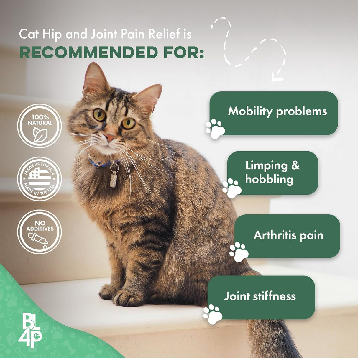BestLife4Pets Cat Hip and Joint Pain Relief Supplement 400 Tabletas