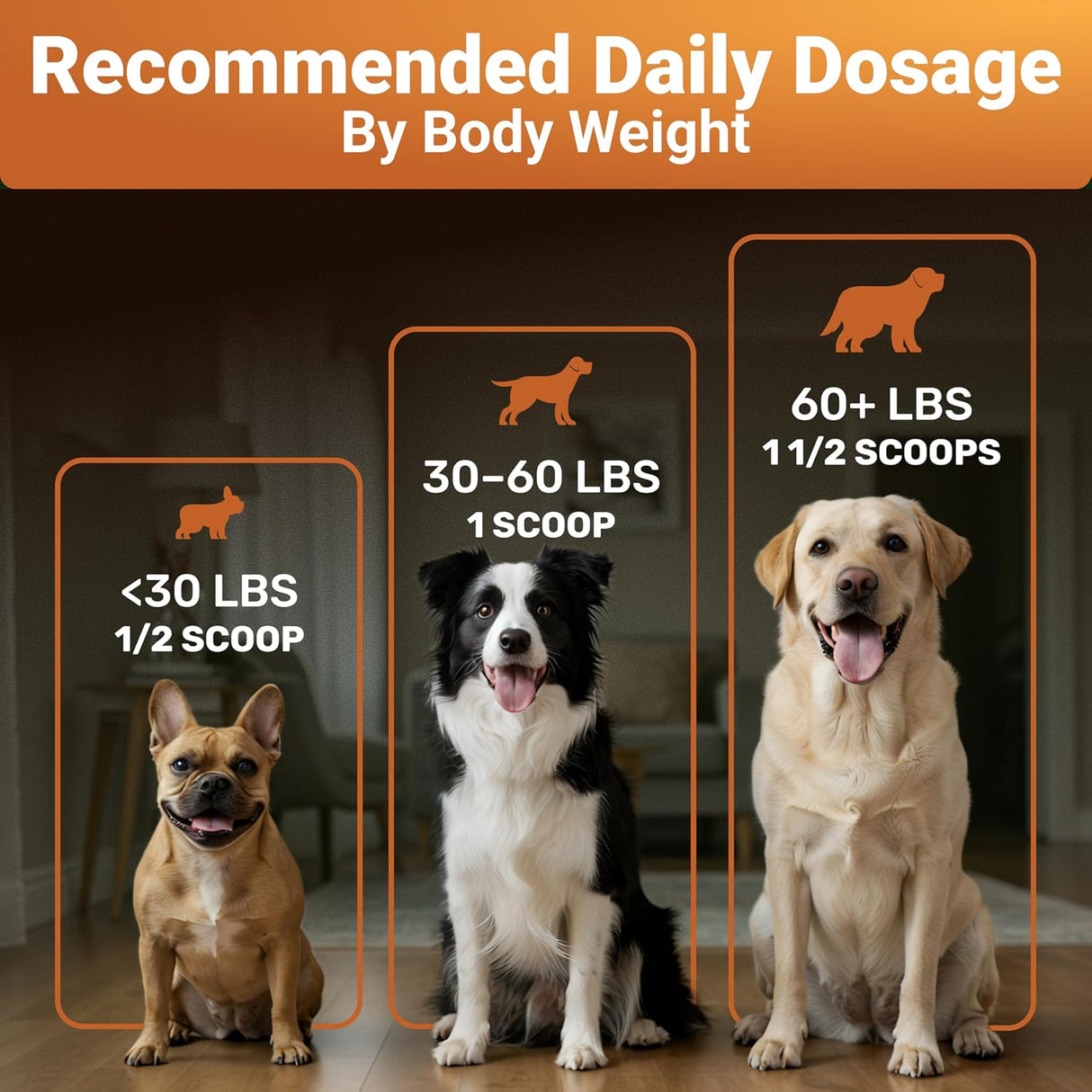 WuffWell Pumpkin Powder for Dogs with Probiotics 30 Servicios 114Gr.