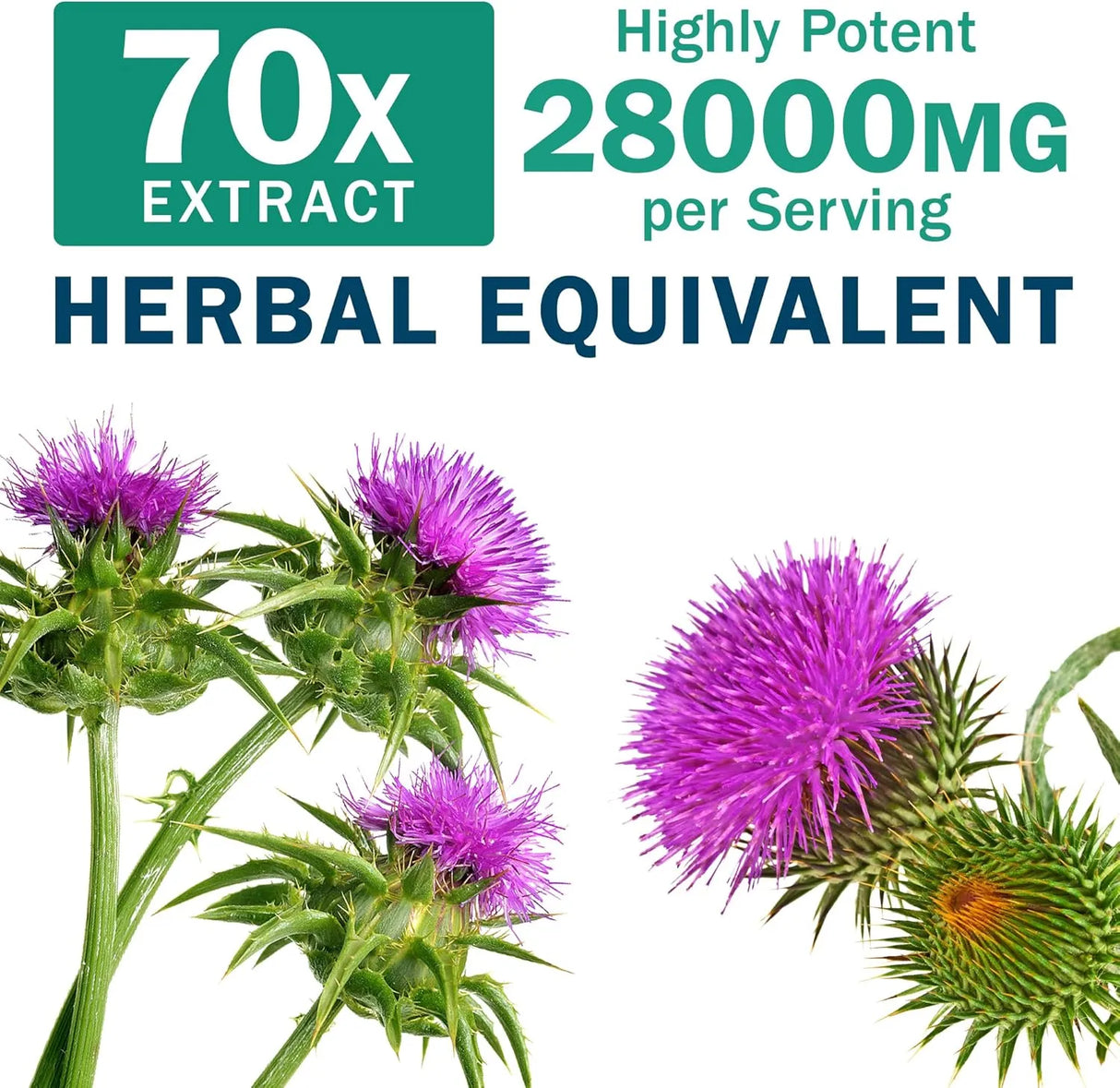 NYO3 - NYO3 Milk Thistle Liver Detox 200Mg. 60 Capsulas - The Red Vitamin MX - Suplementos Alimenticios - {{ shop.shopifyCountryName }}