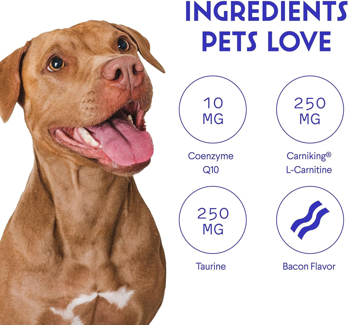 WONDER PAWS Cardio Support for Dogs 90 Masticables