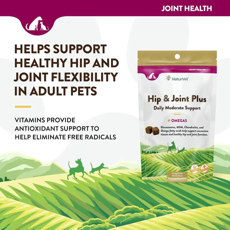 NATURVET - NaturVet Hip & Joint Plus 120 Masticables - The Red Vitamin MX - Cuidado De Cadera Y Articulaciones Para Perros - {{ shop.shopifyCountryName }}