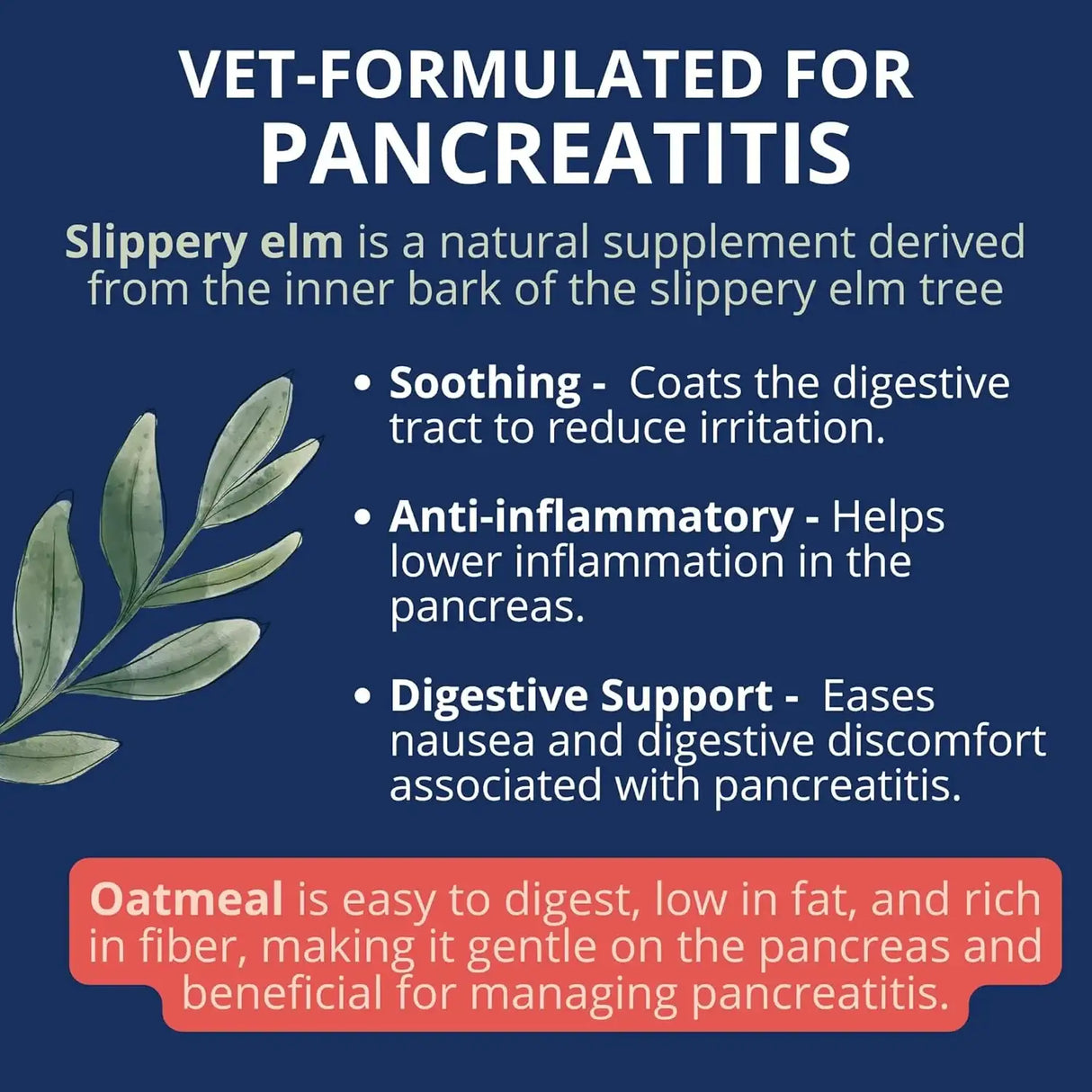 UNDER THE WEATHER - Under the Weather Bland Diet for Dogs Turkey Oatmeal Sweet Potato & Slippery Elm 6 Oz. 2 Pack - The Red Vitamin MX - Medicamentos Sin Receta Para Perros - {{ shop.shopifyCountryName }}