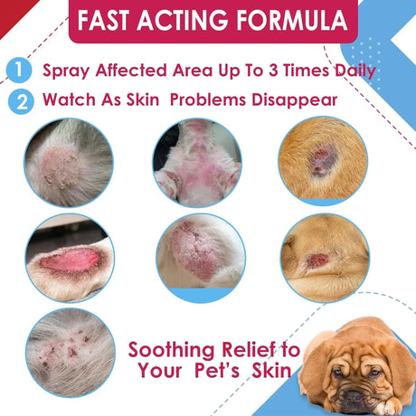 TRUSEB - Truseb All Natural Chlorhexidin Sprays Topical Ketoconazole and Chlorhexidine Spray for Dogs, Cats & Horses 8 Fl.Oz. - The Red Vitamin MX - Remedios Para La Picazón De Perros - {{ shop.shopifyCountryName }}