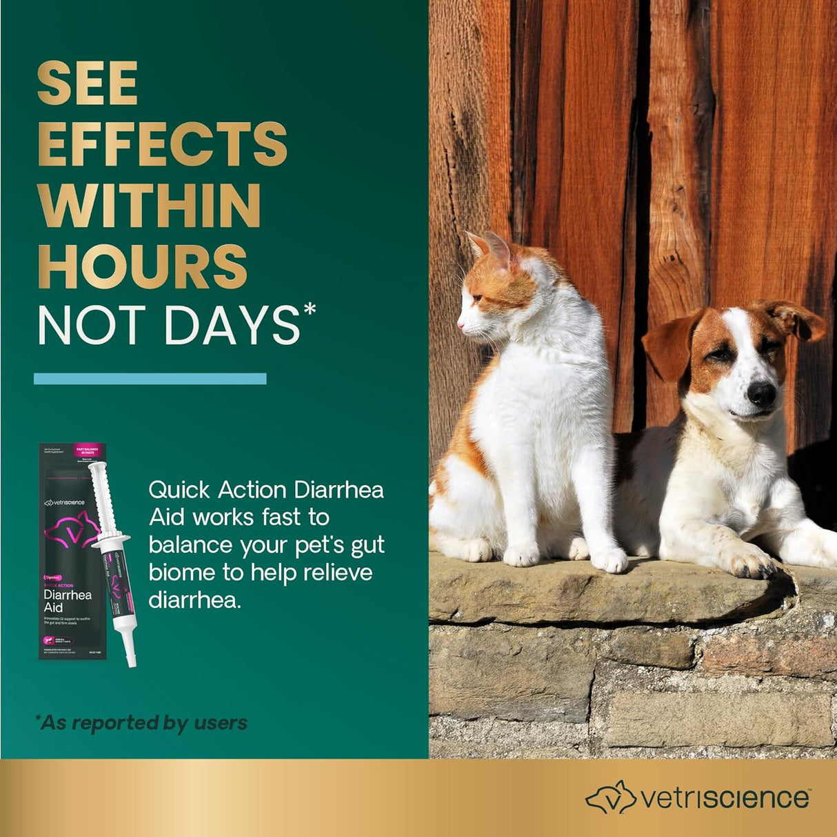 VetriScience Quick Action Diarrhea Aid Paste with Probiotics & B Vitamins Unflavored 35Ml.