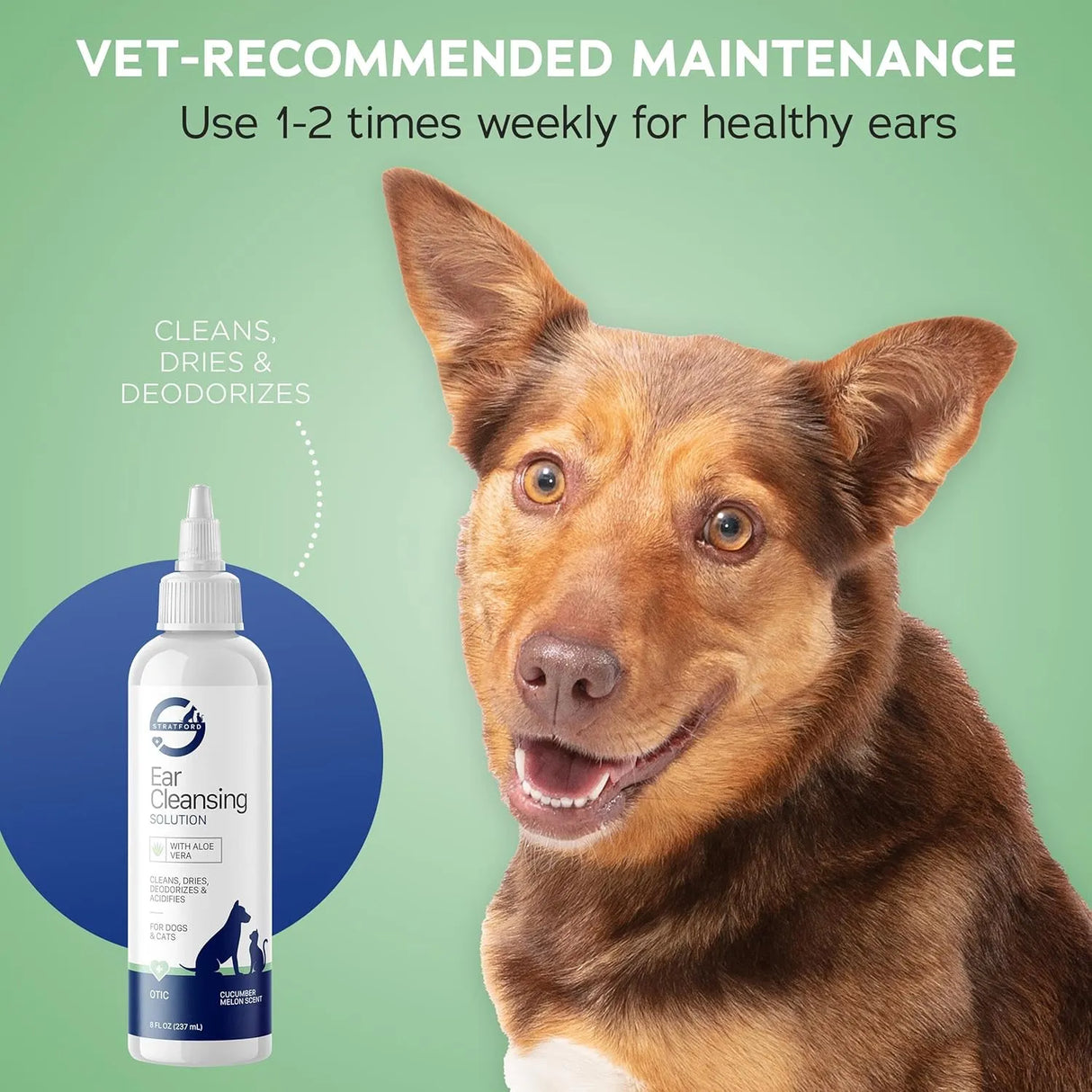 STRATFORD - Stratford Pharmaceuticals Ear Cleaner & Drying Solution for Dogs & Cats 8 Fl.Oz. - The Red Vitamin MX - Cuidado Del Oído De Perros - {{ shop.shopifyCountryName }}