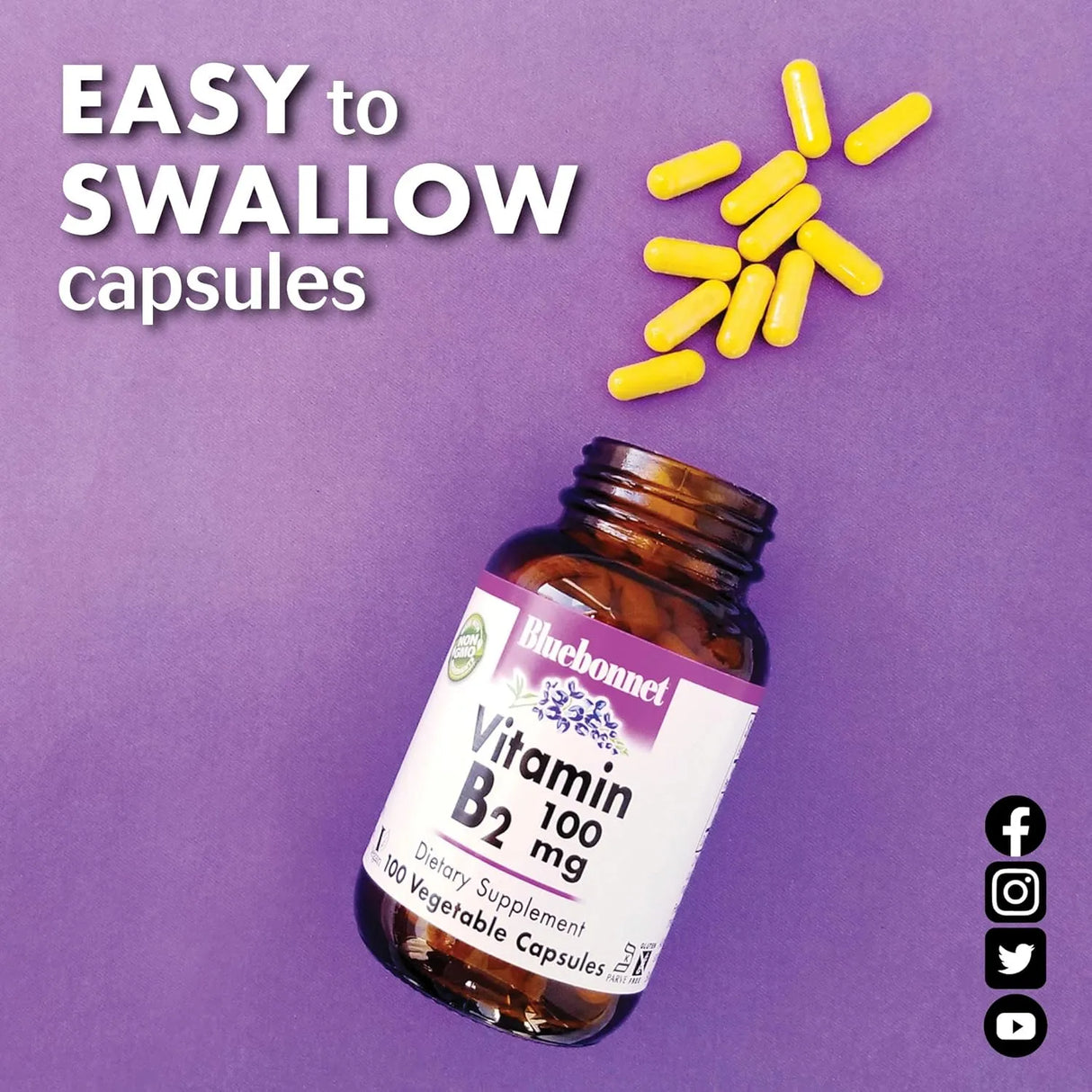BLUEBONNET NUTRITION - Bluebonnet Nutrition Vitamin B2 100Mg. 100 Capsulas - The Red Vitamin MX - Suplementos Alimenticios - {{ shop.shopifyCountryName }}