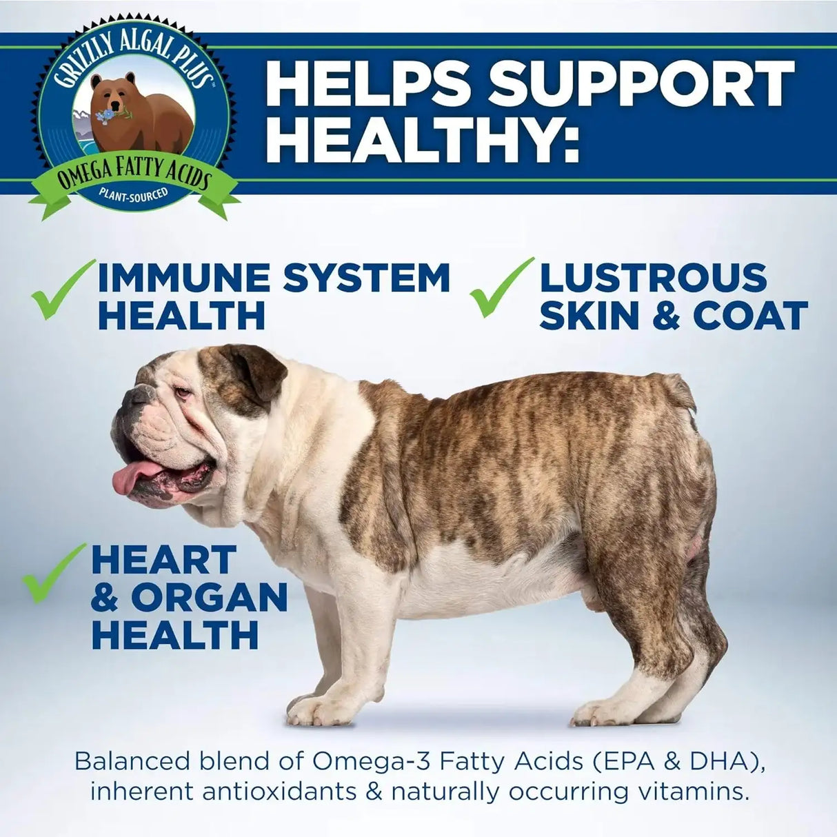 GRIZZLY PET - Grizzly Pet Products Algal Plus Omega 3-6-9 for Dogs and Cats 16 Fl.Oz. - The Red Vitamin MX - Aceite De Pescado Para Perros - {{ shop.shopifyCountryName }}