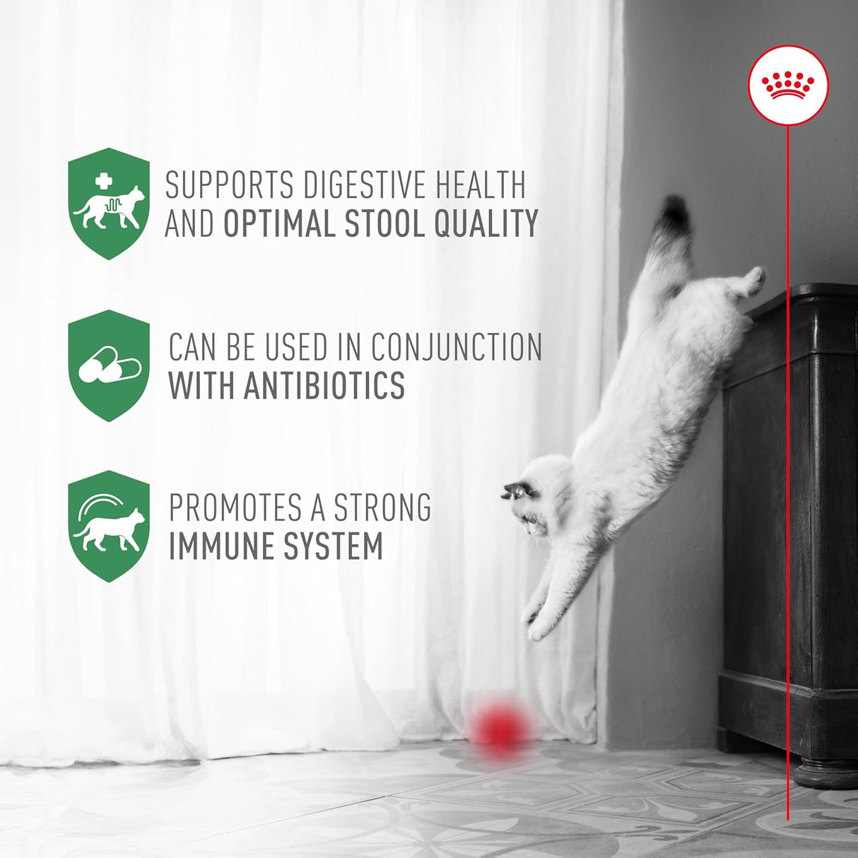 Royal Canin Probiotics for Cats Digestive and Immune Health Powder 30 Paquetes