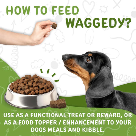 WAGGEDY - waggedy Daily Essentials Puppy 60 Masticables - The Red Vitamin MX - Multivitamínicos Para Perros - {{ shop.shopifyCountryName }}