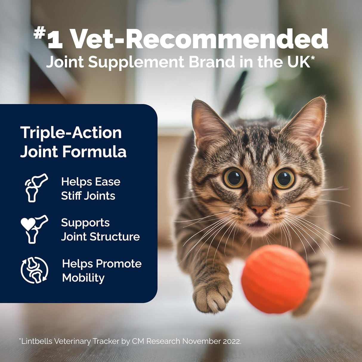 YuMOVE Cat Joint Supplement 60 Capsulas