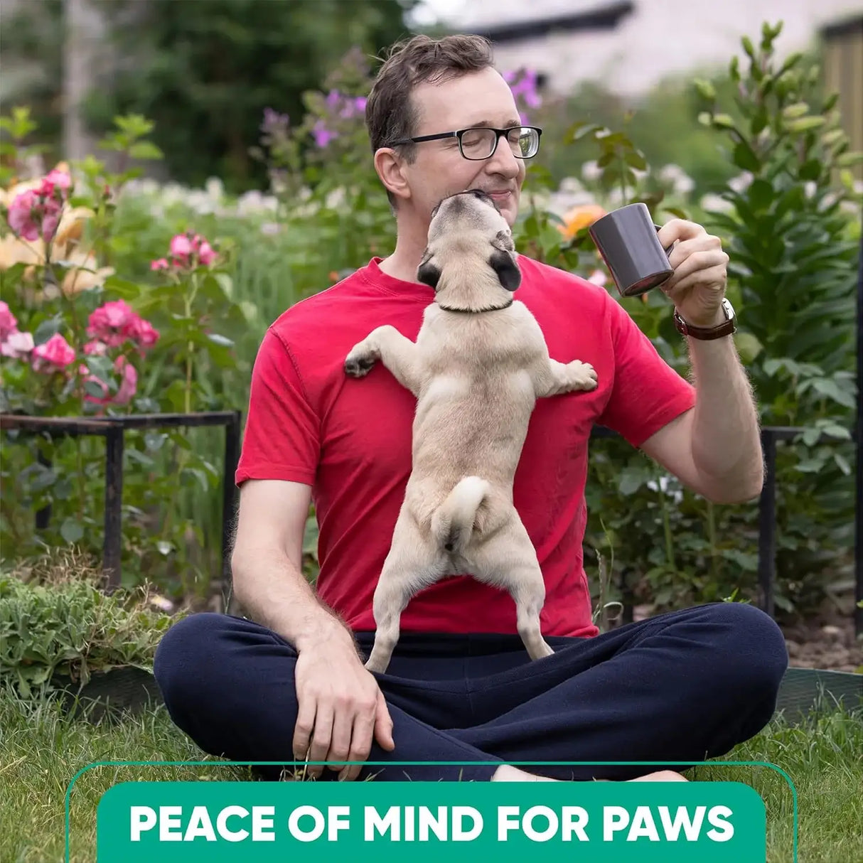 TRIOAK - TriOak Pheromone Diffuser for Dogs Advanced Dog Calming Diffuser 2 Pack - The Red Vitamin MX - Relajantes Para Perros - {{ shop.shopifyCountryName }}