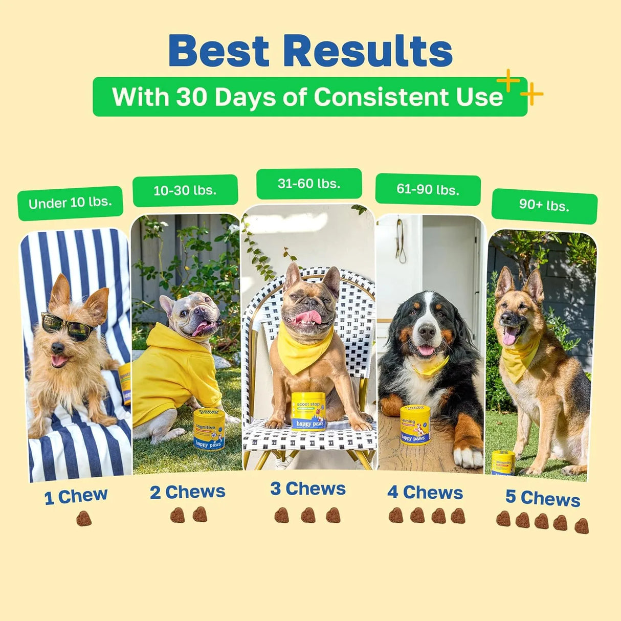 HAPPY PAWS - Happy Paws Probiotic Gut Health Support for Dogs 100 Masticables 2 Pack - The Red Vitamin MX - Probióticos Para Perros - {{ shop.shopifyCountryName }}