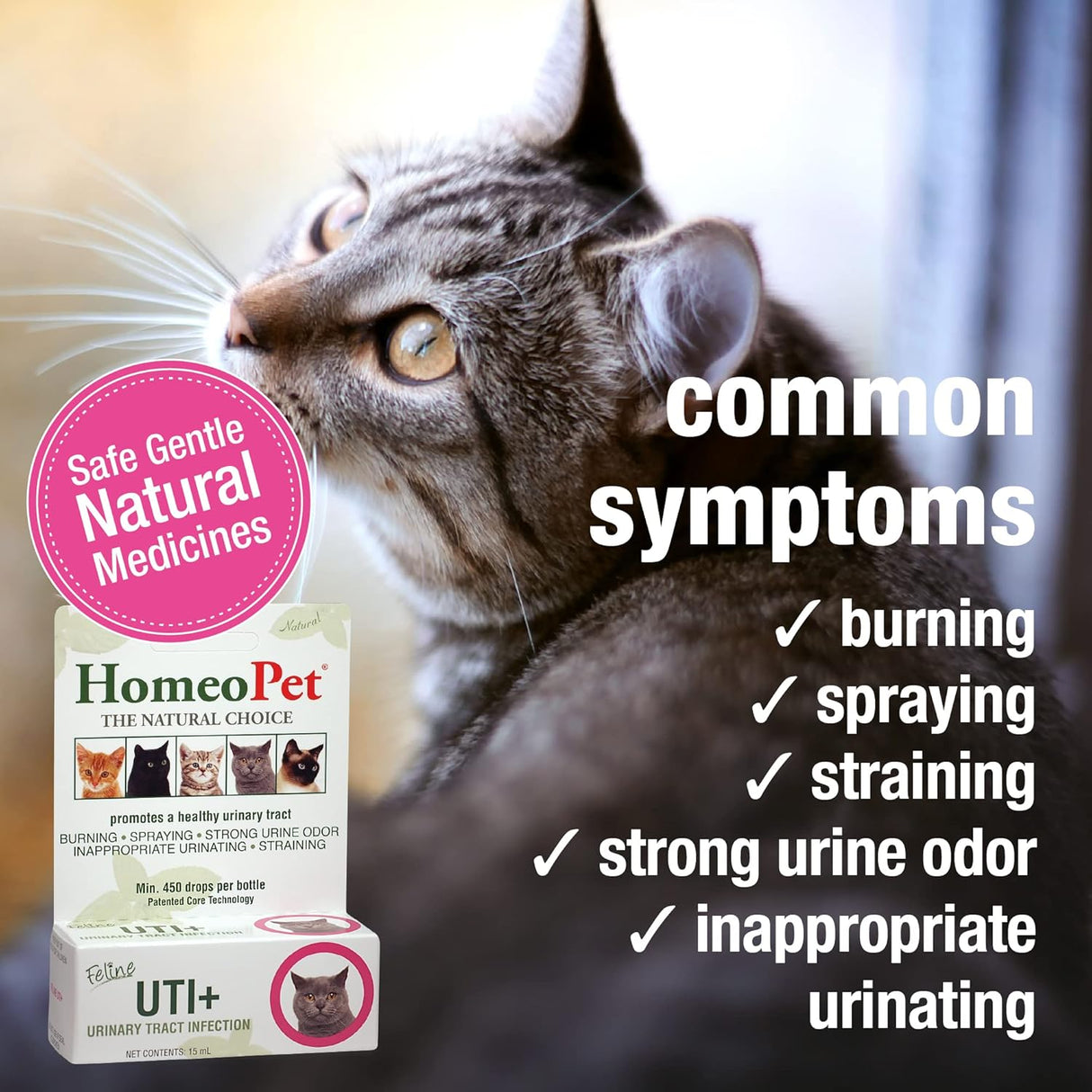 HomeoPet Feline UTI Plus Safe and Natural Urinary Tract Supplement for Cats 15Ml.