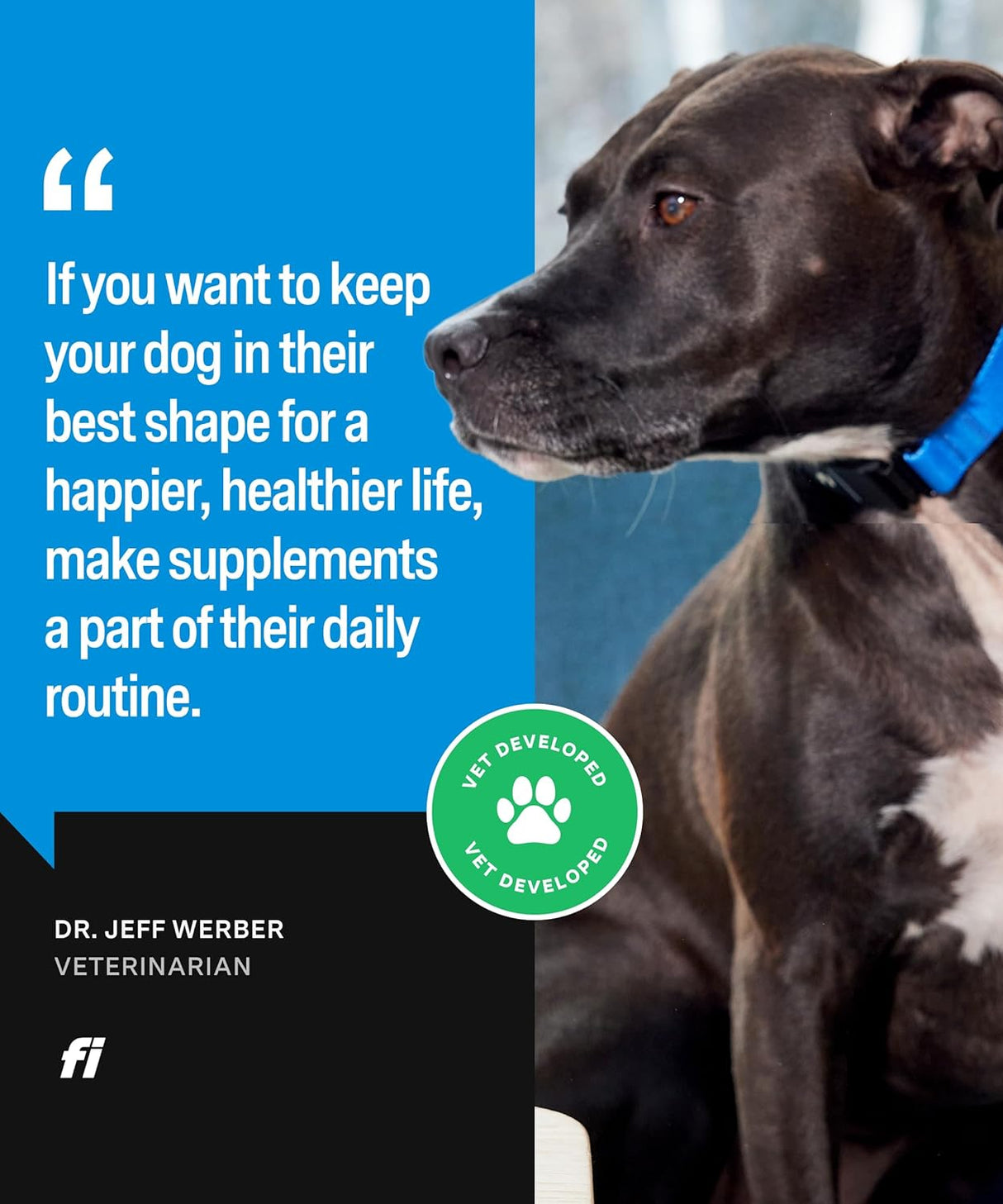 Fi Skin & Coat Powder Food Topper 90 Servicios 180Gr.