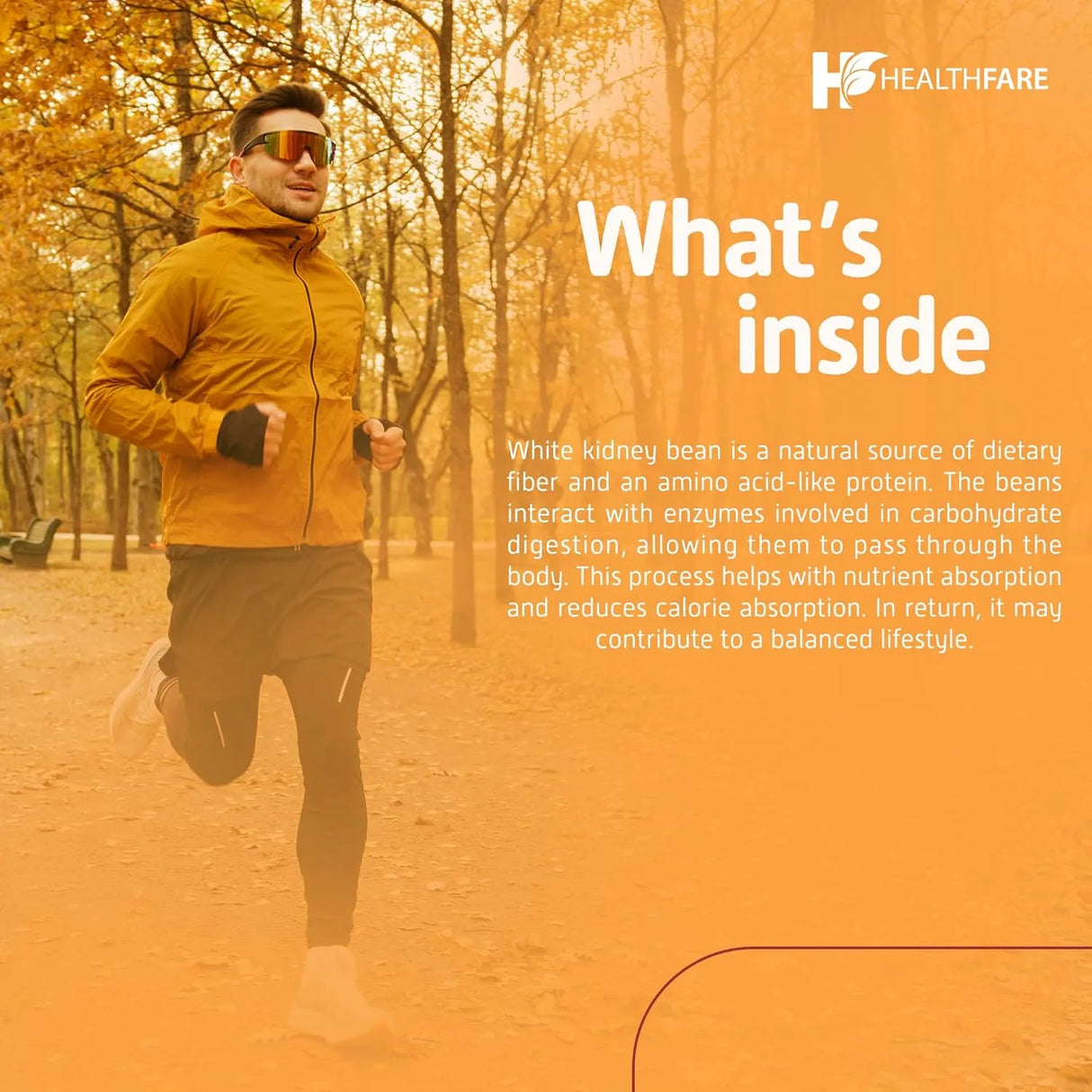 HEALTHFARE - Healthfare White Kidney Bean Extract 7500Mg. 240 Capsulas - The Red Vitamin MX - Suplementos Alimenticios - {{ shop.shopifyCountryName }}