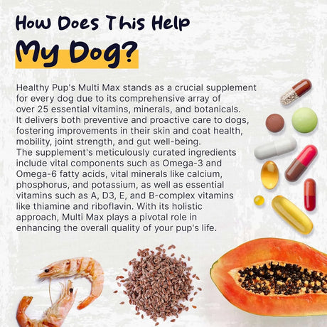 HEALTHY PUP - Healthy Pup Dog Multivitamin 120 Masticables - The Red Vitamin MX - Multivitamínicos Para Perros - {{ shop.shopifyCountryName }}