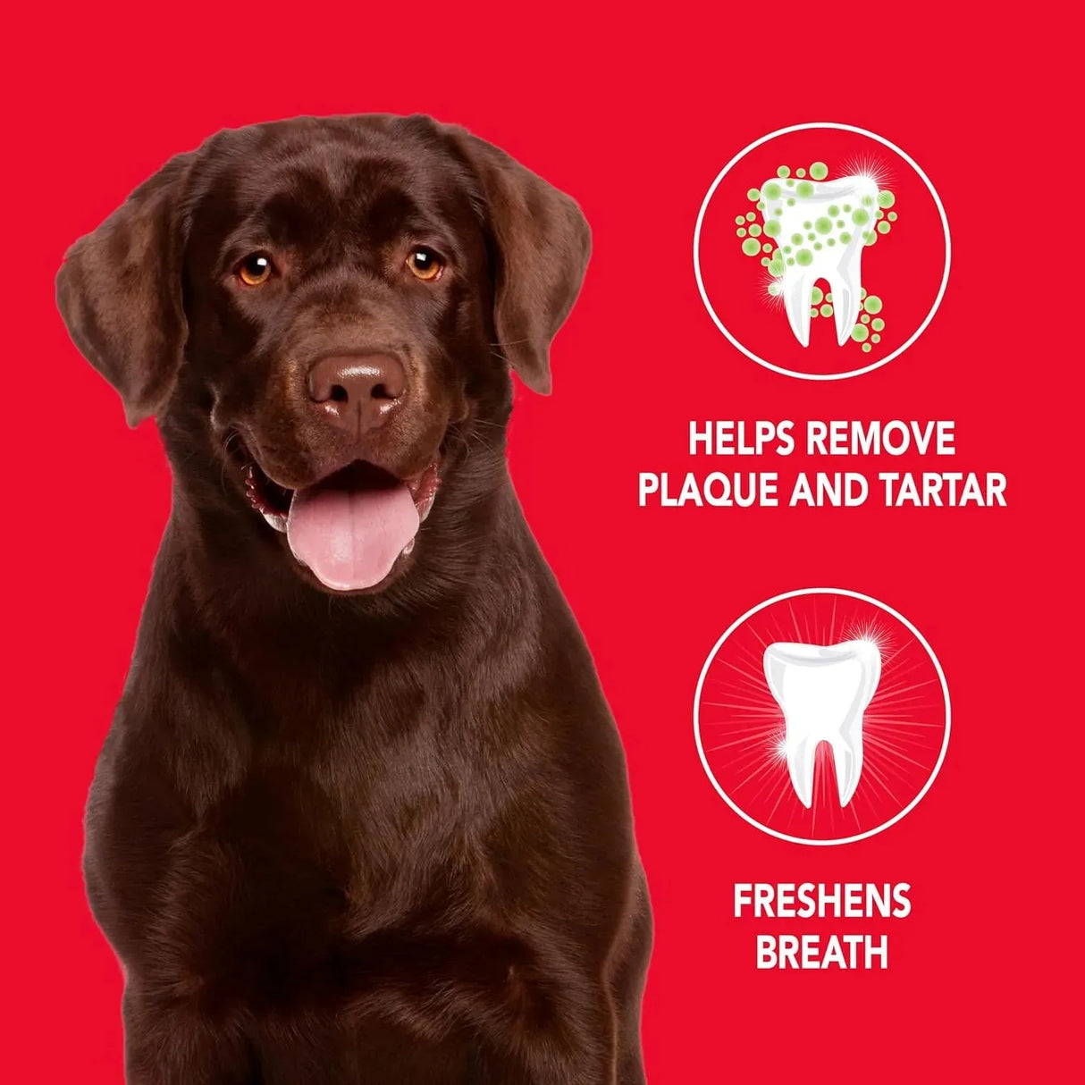 PETRODEX - Petrodex Toothpaste for Dogs and Puppies 6.2 Oz. - The Red Vitamin MX - Cuidado Dental Para Perros - {{ shop.shopifyCountryName }}