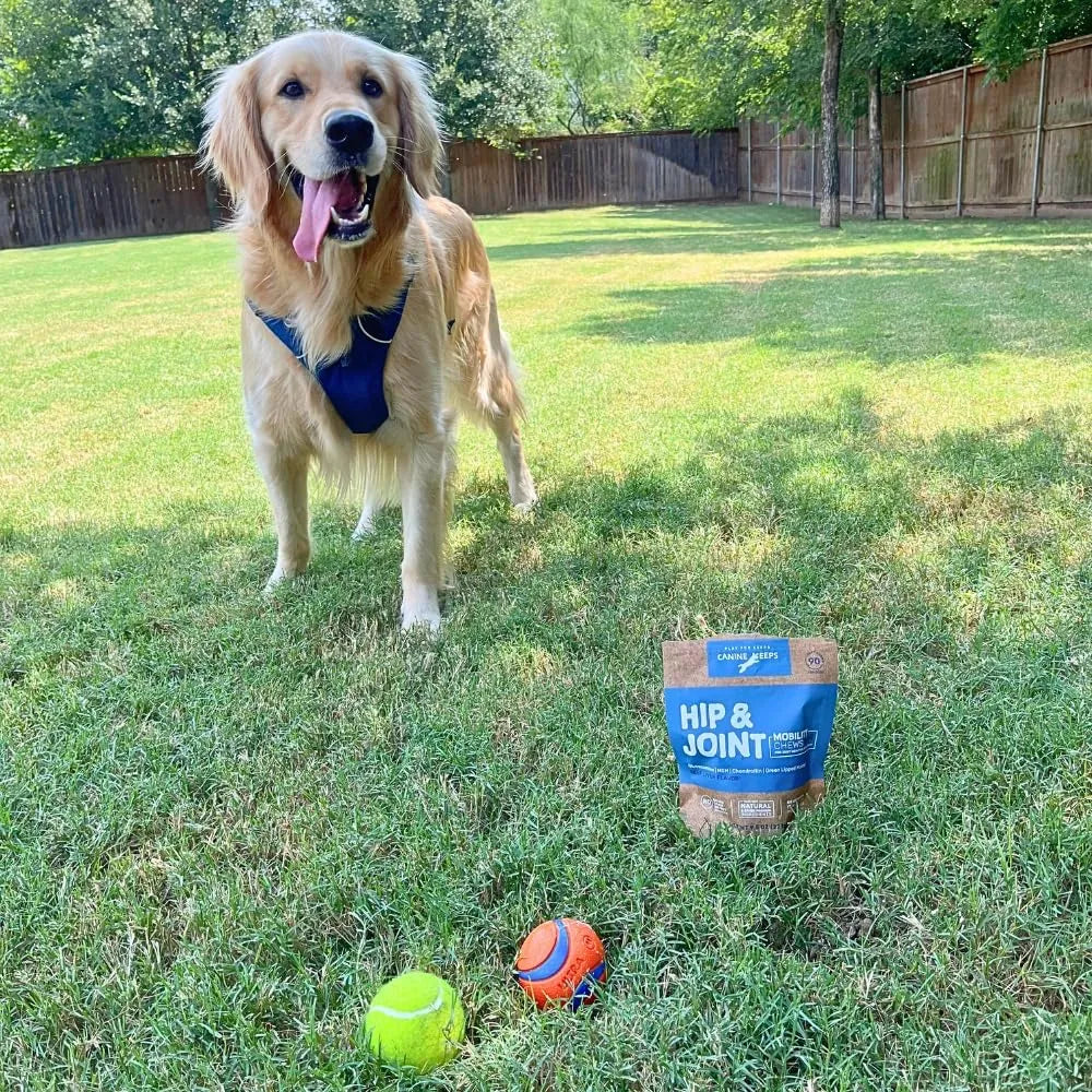 CANINE KEEPS - Canine Keeps Dog Hip and Joint Supplement 90 Masticables - The Red Vitamin MX - Cuidado De Cadera Y Articulaciones Para Perros - {{ shop.shopifyCountryName }}