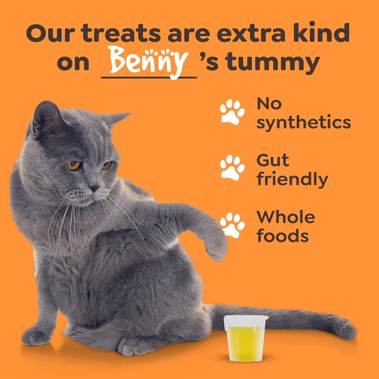 SIMPLY NATURAL - Simply Natural Salmon Oil for Dogs and Cats 10 Fl.Oz. - The Red Vitamin MX - Aceite De Pescado Para Perros - {{ shop.shopifyCountryName }}