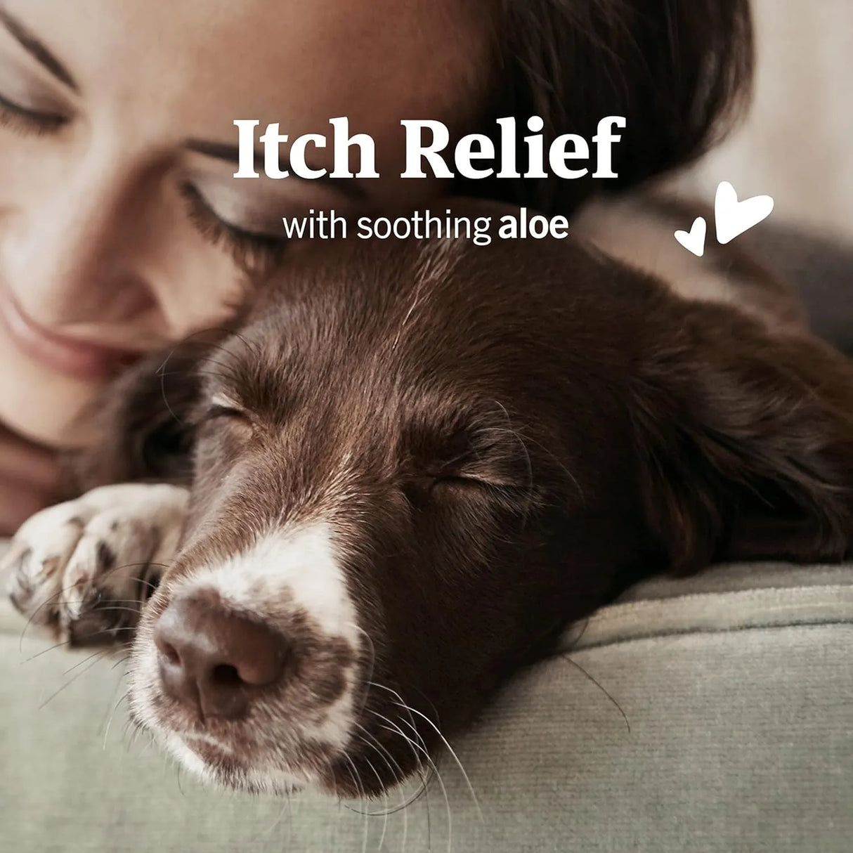 PETARMOR - PetArmor Ear Mite Treatment for Dogs 3 Fl.Oz. - The Red Vitamin MX - Cuidado Del Oído De Perros - {{ shop.shopifyCountryName }}