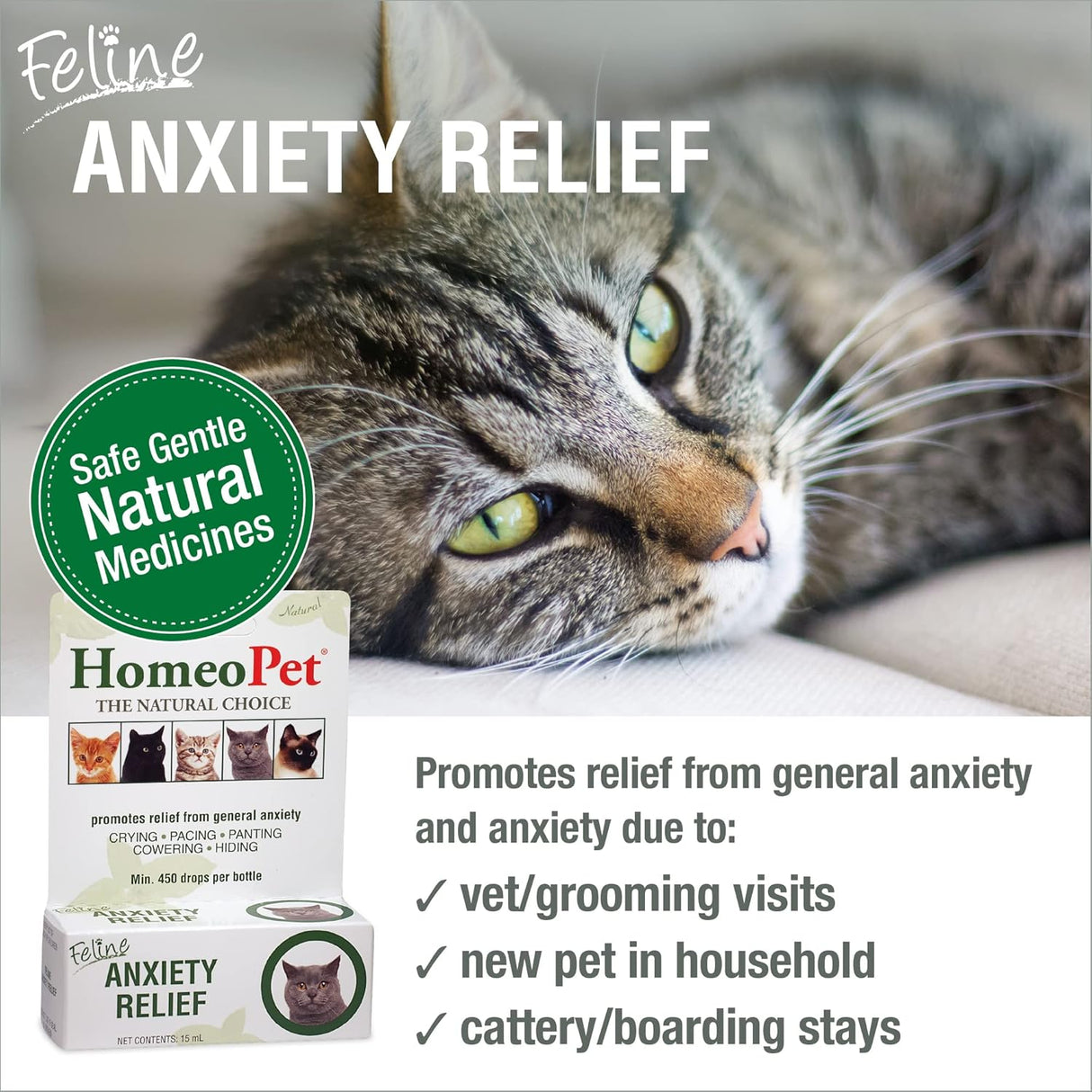 HomeoPet Feline Anxiety Relief 15Ml.