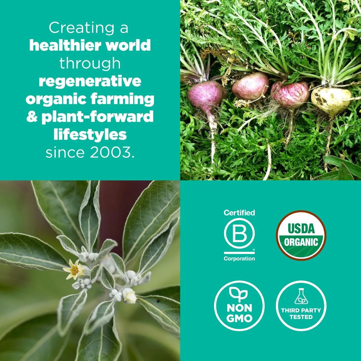 NAVITAS - Navitas Organics Superfood+ Adaptogen Blend for Stress Support Maca + Reishi + Ashwagandha 180Gr. - The Red Vitamin MX - Suplementos Alimenticios - {{ shop.shopifyCountryName }}